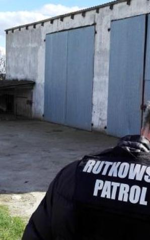 Rozbito samochodową dziuple pod Koninem. Rutkowski walczy z oszustami samochodowymi