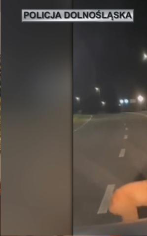 [VIDEO] Funkcjonariusze Komisariatu Policji z Nowogrodźca, w powiecie bolesławieckim, uratowali życie… sarence, która wsadziła głowę w porzucony kanister
